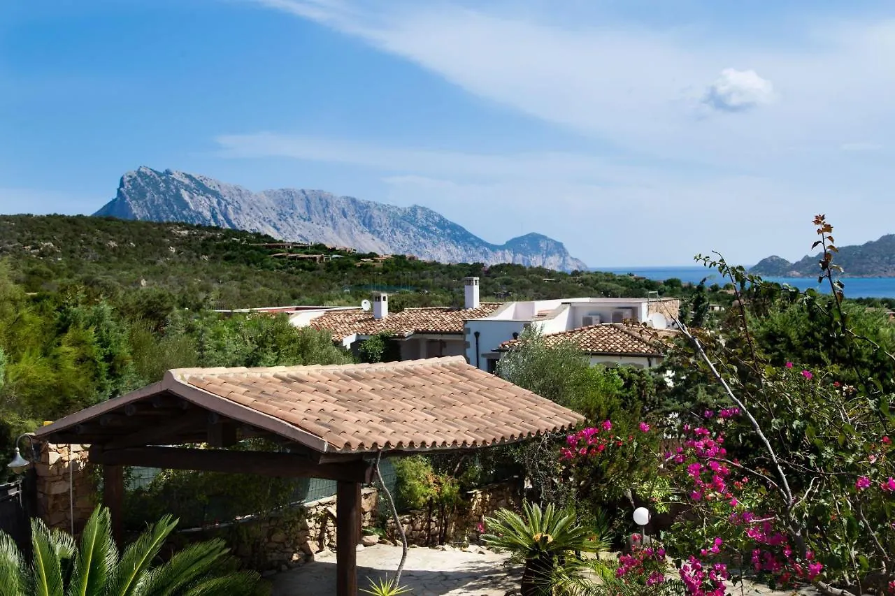 Villa Vanessa Punta Molara Italien